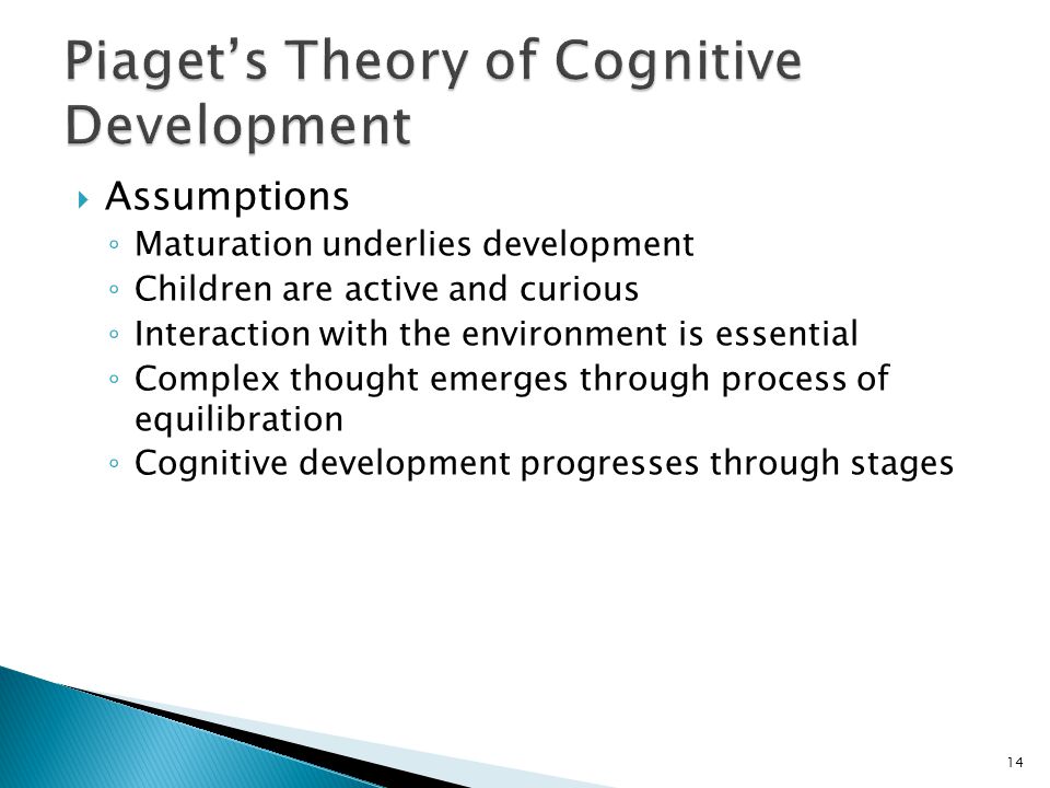 Cognitive development is discount a process of